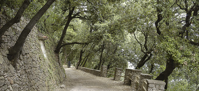 Camí dels Degotalls: recorregut matemàtic