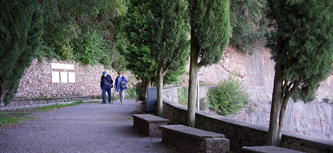 cami dels degotalls 2